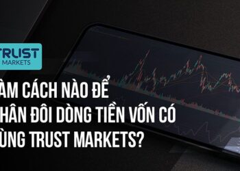Làm cách nào để nhân đôi dòng tiền vốn có cùng Trust Markets?