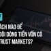 Làm cách nào để nhân đôi dòng tiền vốn có cùng Trust Markets?