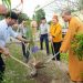 Themphaco phát động chương trình “Tết trồng cây Xuân Giáp Thìn năm 2024”