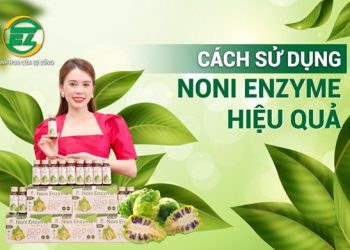 Cách sử dụng Noni Enzyme như thế nào đạt hiệu quả cao nhất?