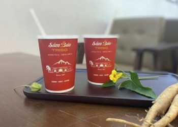 Sâm Báo – Bí Quyết Sống Khỏe và Kéo Dài Tuổi Thọ Đến Từ Thiên Nhiên