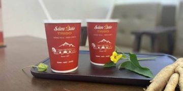 Sâm Báo – Bí Quyết Sống Khỏe và Kéo Dài Tuổi Thọ Đến Từ Thiên Nhiên