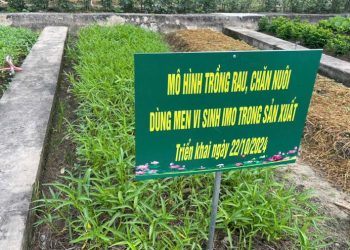 Tái chế chất thải nông nghiệp – giải pháp căn cơ cho bài toán môi trường nông thôn