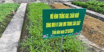 Tái chế chất thải nông nghiệp – giải pháp căn cơ cho bài toán môi trường nông thôn