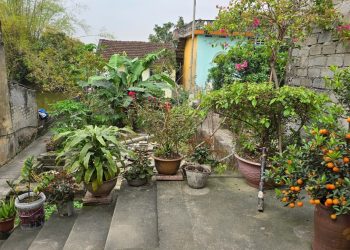 Vụ tranh chấp đất đai ở Phủ Lý: cần các cơ quan chức năng can thiệp kịp thời