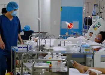TP Hồ Chí Minh: Giám sát, theo dõi lịch sử đi lại của bệnh nhân sốt rét