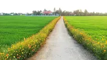 Bài toán nông nghiệp